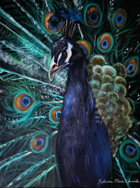 Peacock Majesty