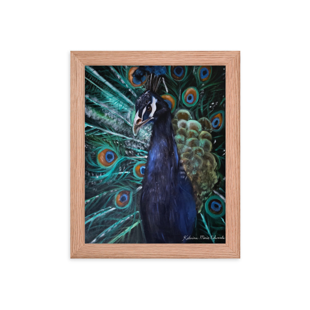 Peacock Majesty - Framed Print